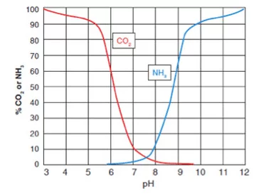 CO 2和pH相關(guān)，影響NH 3的毒性